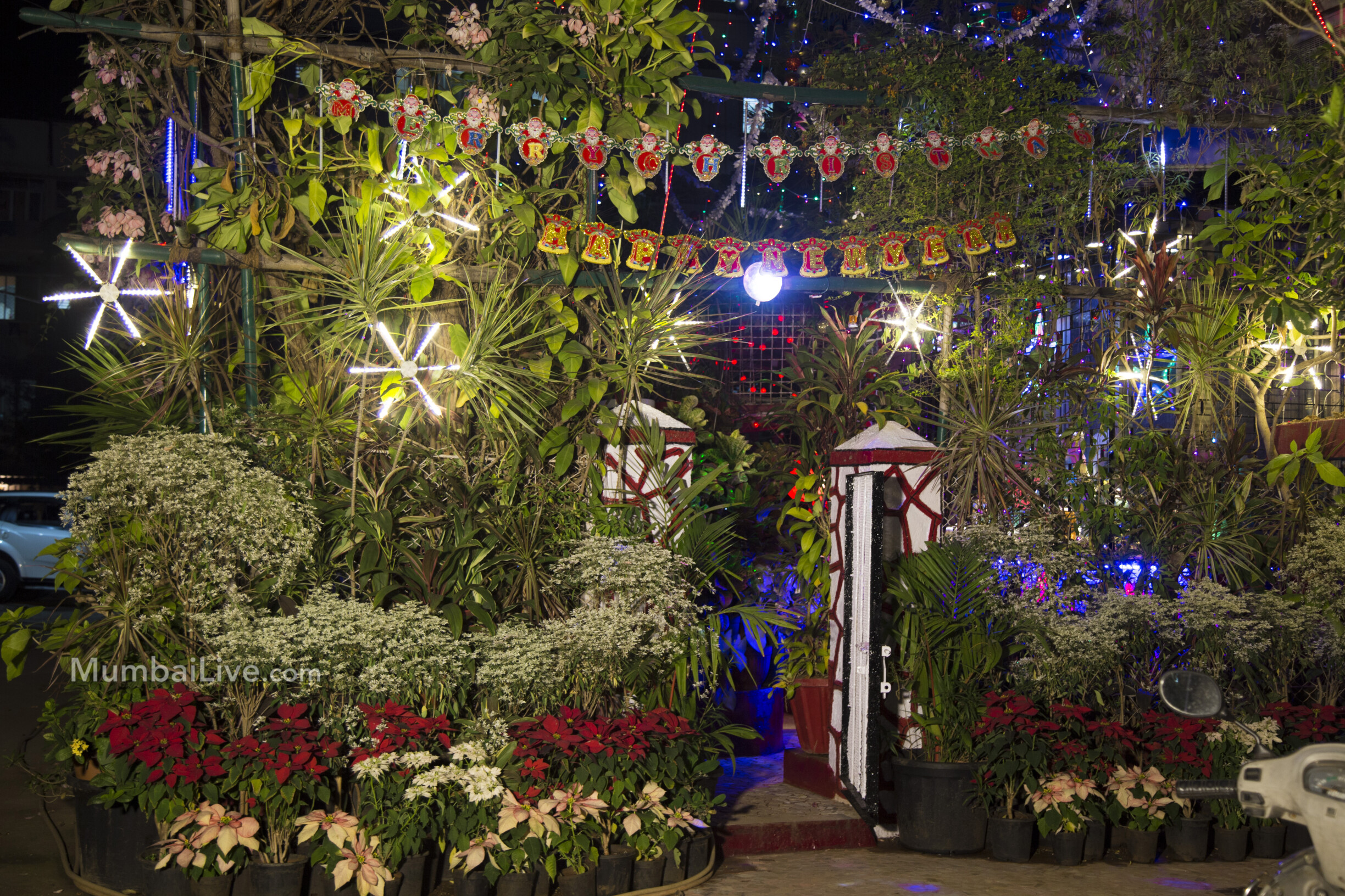 India's tallest Christmas tree is right here in Mumbai!