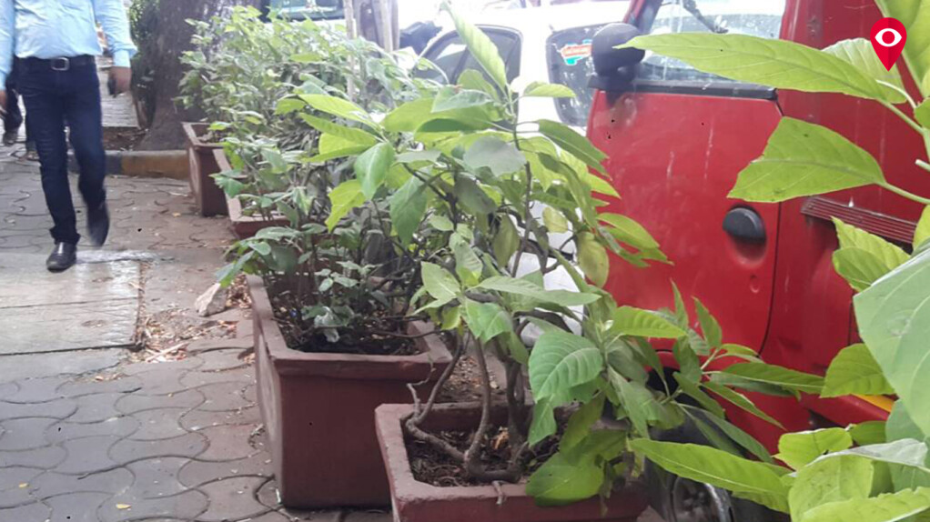 Maharshi Karve Road Resident Association’s sincere efforts making the