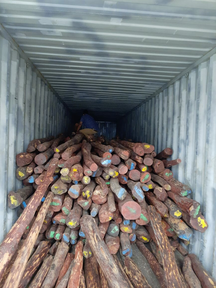 महिन्याभरात दुसऱ्यांदा न्हावा शेवा बंदर चर्चेत, १८ हजार ५०० किलोचे रक्तचंदन जप्त