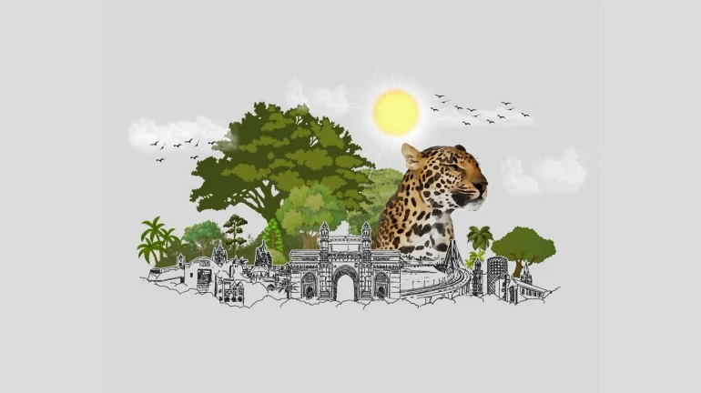 No plan to widen main road in Aarey Colony says BMC No plan to widen main road in Aarey Colony says BMC