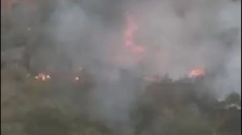 Fire breaks out at Aarey forest; dousing operations underway