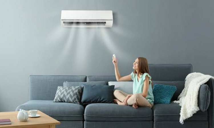 LG AC vs Blue Star AC: Which is Better for a Small Room?