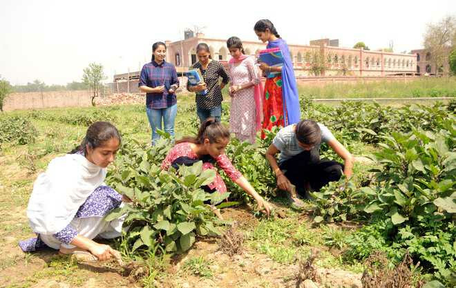 महाराष्ट्र-   कृषि डिग्री पाठ्यक्रम के दूसरे वर्ष में सीधे प्रवेश