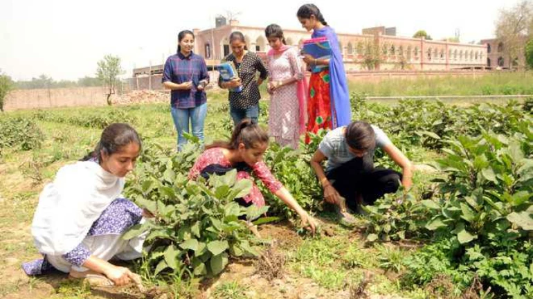 महाराष्ट्र- कृषि डिग्री पाठ्यक्रम के दूसरे वर्ष में सीधे प्रवेश महाराष्ट्र- कृषि डिग्री पाठ्यक्रम के दूसरे वर्ष में सीधे प्रवेश
