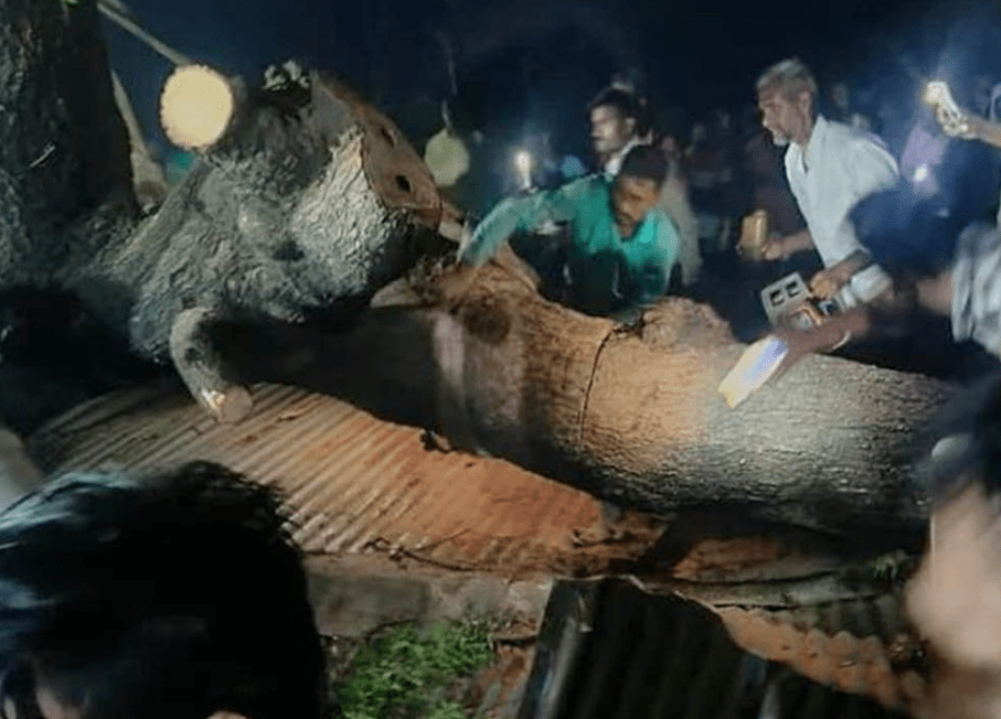 Akola Temple Disaster: Financial assistance to families of deceased, assures Fadnavis