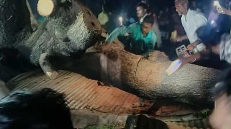 Akola Temple Disaster: Financial assistance to families of deceased, assures Fadnavis Akola Temple Disaster: Financial assistance to families of deceased, assures Fadnavis