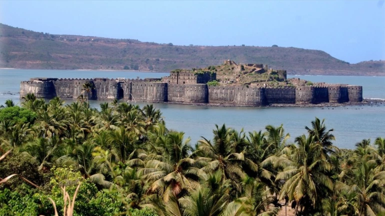 Over 400 Hectares of Land in Raigad’s Alibag Taluka Declared as Reserved Forest