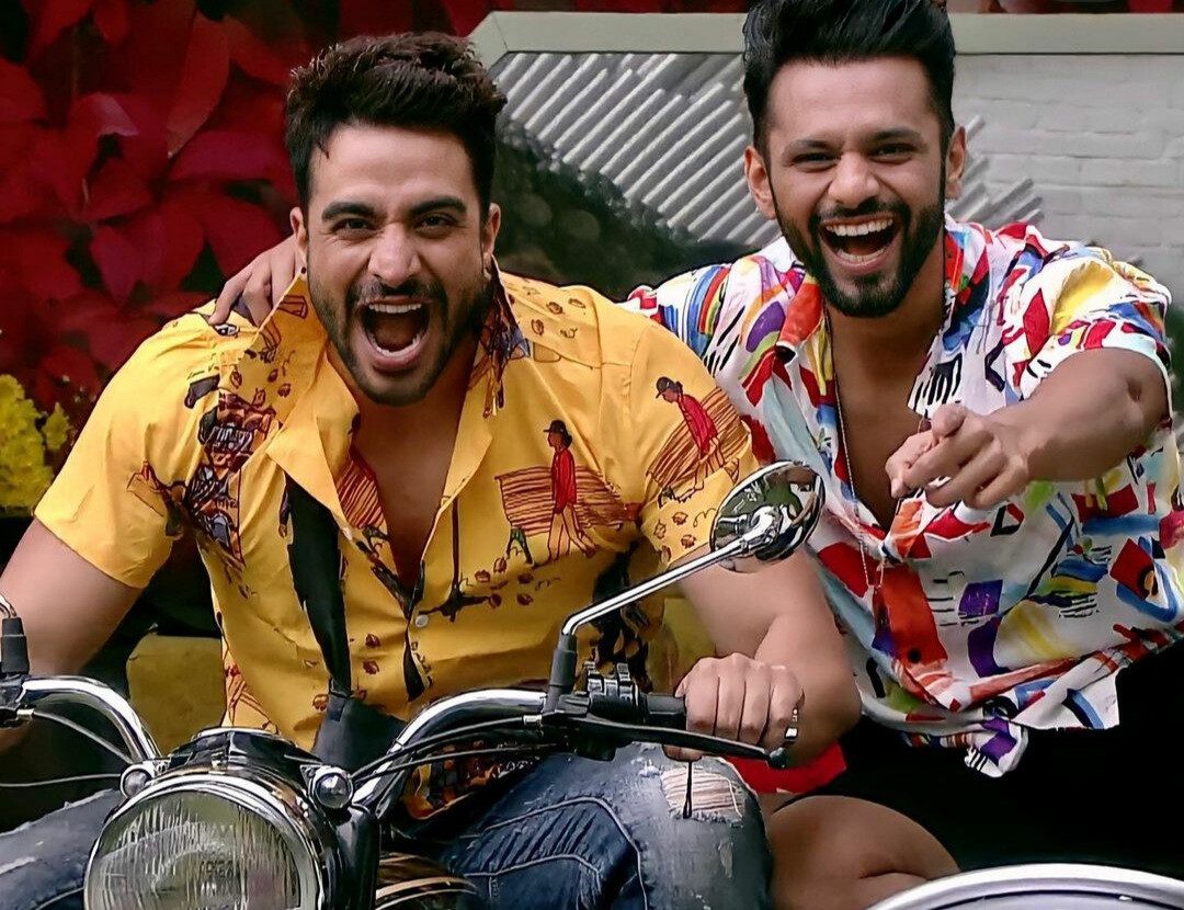 Bigg Boss 14: Aly Goni sides with Rahul Vaidya