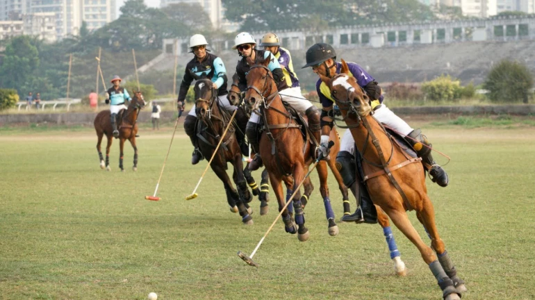 ARC Silver Stick Tournament: Los Polistas wins with 8 goals ARC Silver Stick Tournament: Los Polistas wins with 8 goals