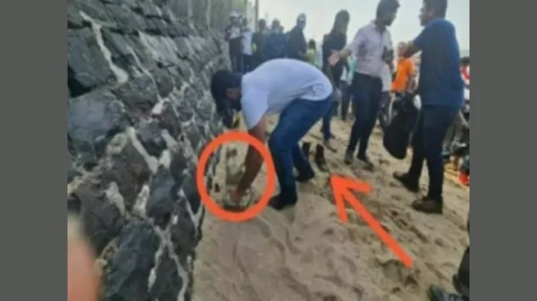 'कितीदा हृदय जिंकणार...'; 'त्या' कृतीमुळं नेटकऱ्यांकडून अमित ठाकरेंचं कौतुक 'कितीदा हृदय जिंकणार...'; 'त्या' कृतीमुळं नेटकऱ्यांकडून अमित ठाकरेंचं कौतुक