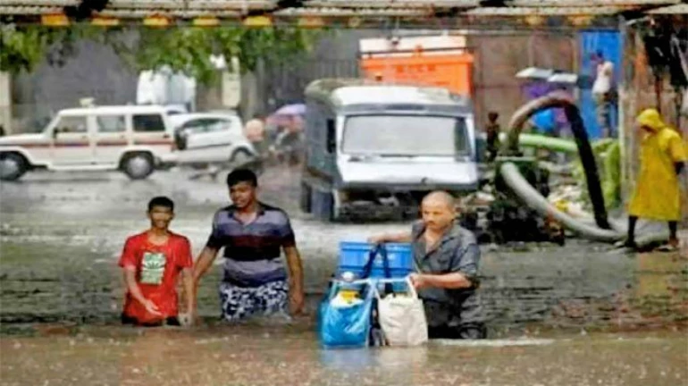 फ्रीज, फर्निचर मोगरा नाल्यात अडकून, ...म्हणून आला पूर : BMC फ्रीज, फर्निचर मोगरा नाल्यात अडकून, ...म्हणून आला पूर : BMC