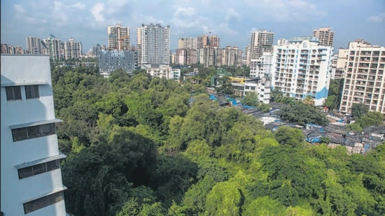 अंधेरी ते वर्सोवा अंतर लवकरच गाठता येणार 5 मिनिटात, जाणून घ्या कसं? अंधेरी ते वर्सोवा अंतर लवकरच गाठता येणार 5 मिनिटात, जाणून घ्या कसं?