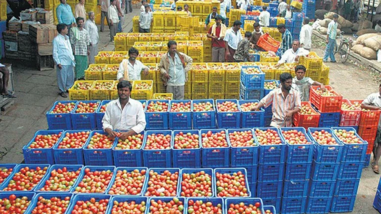 अँटीजेन टेस्ट केली तरच एपीएमसी मार्केटमध्ये प्रवेश अँटीजेन टेस्ट केली तरच एपीएमसी मार्केटमध्ये प्रवेश