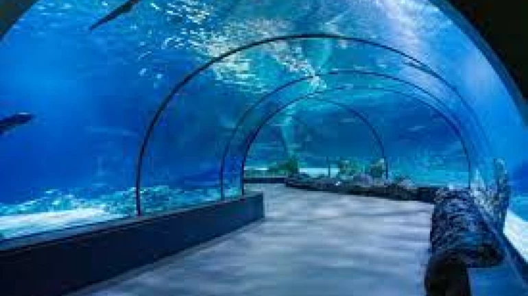 India's First Ever World-class Aquarium To Open In Mumbai's Worli