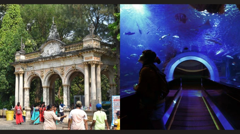 Mumbai: Byculla Zoo’s World-Class Aqua Gallery Gets a Second Life Mumbai: Byculla Zoo’s World-Class Aqua Gallery Gets a Second Life