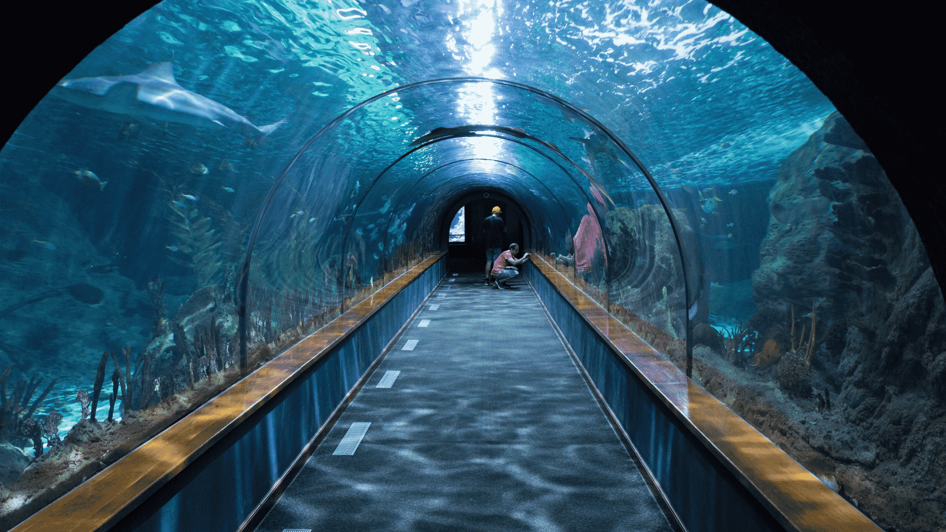 International Aquarium, Sea Lion Entertainment Centre To Come Up in Panvel