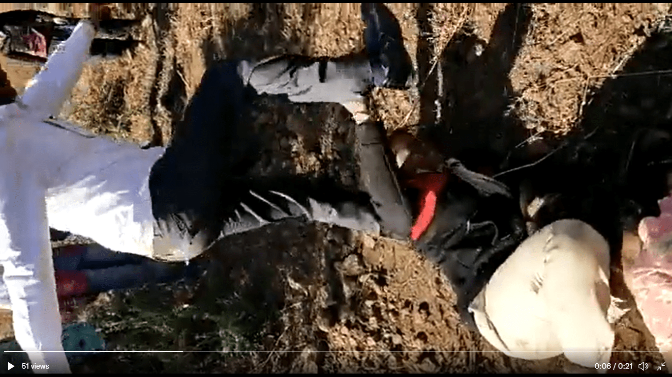 Former Sarpanch Arrested For Assaulting Pregnant On-Duty Forest Officer