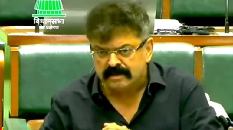 10k trees were cut in the name of development in Thane: BJP-NCP criticises CM 10k trees were cut in the name of development in Thane: BJP-NCP criticises CM