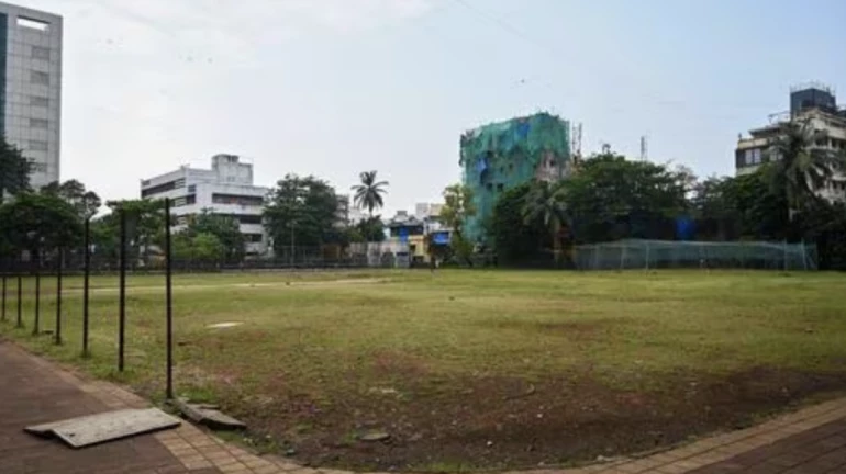 बांद्रा में स्विमिंग पूल के लिए 27 पेड़ काटने की बीएमसी की योजना से निवासी परेशान बांद्रा में स्विमिंग पूल के लिए 27 पेड़ काटने की बीएमसी की योजना से निवासी परेशान