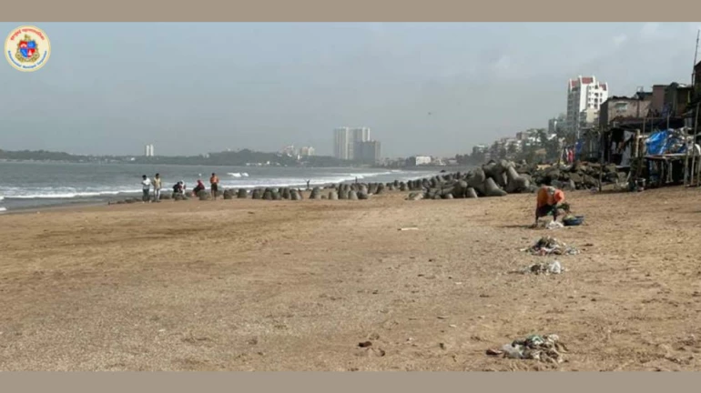 Mumbai’s Beaches Witness 87% More Garbage a Day After Cyclone Tauktae Mumbai’s Beaches Witness 87% More Garbage a Day After Cyclone Tauktae