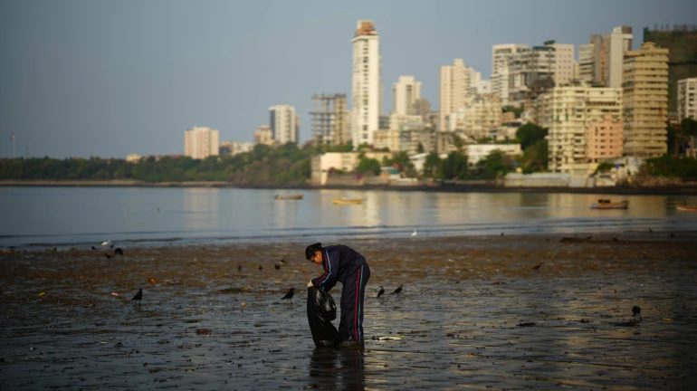 Mumbai: NCC Cadets Clean Beach, Statues at Girgaon Chowpatty Mumbai: NCC Cadets Clean Beach, Statues at Girgaon Chowpatty