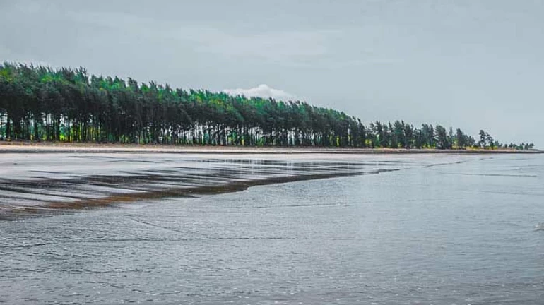 वसईच्या भुईगावात आढळली संशयास्पद बोट, सुरक्षा यंत्रणा सतर्क वसईच्या भुईगावात आढळली संशयास्पद बोट, सुरक्षा यंत्रणा सतर्क