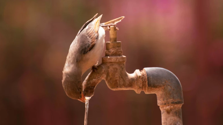 Mumbai: 100% Water Cut In "These" Areas on April 23-24 - Check List Here Mumbai: 100% Water Cut In "These" Areas on April 23-24 - Check List Here