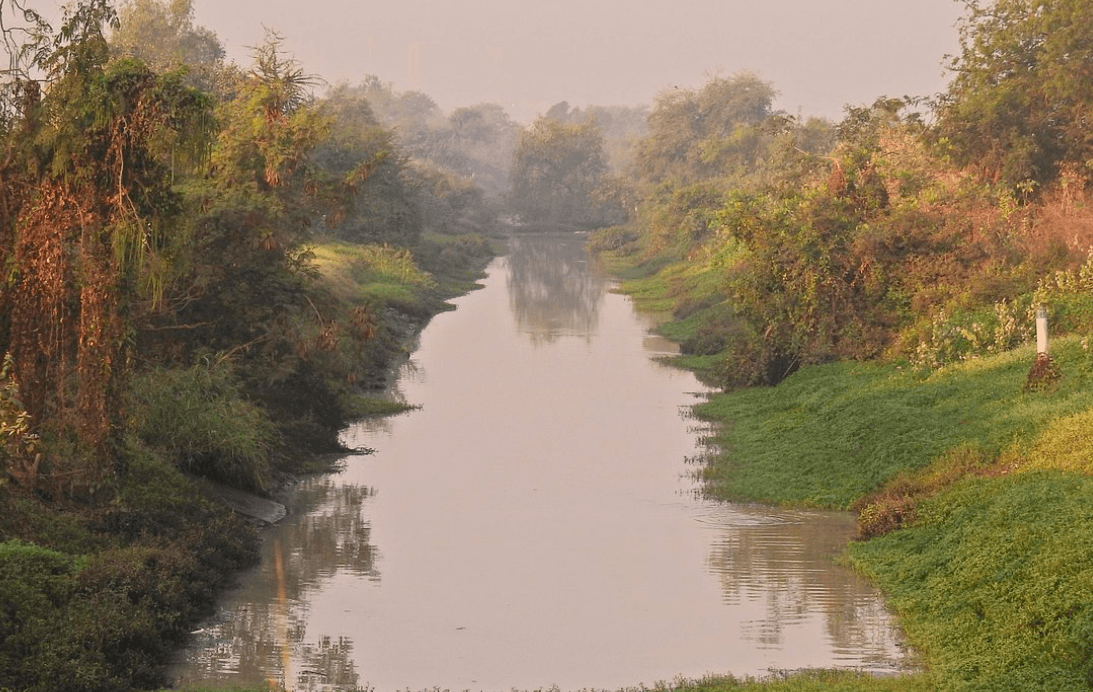 Maharashtra Approves INR 45 Crore for AI-Enabled Bhandup Bird Sanctuary Project