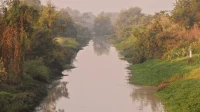 Maharashtra Approves INR 45 Crore for AI-Enabled Bhandup Bird Sanctuary Project Maharashtra Approves INR 45 Crore for AI-Enabled Bhandup Bird Sanctuary Project