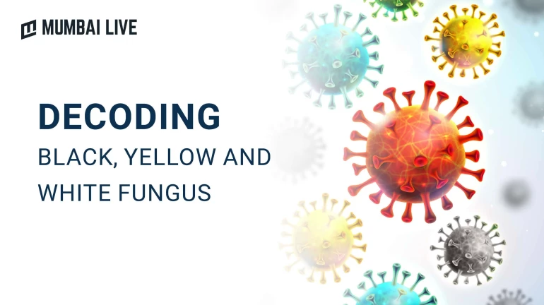 Why are the fungal infections named after colours -- Black, White and Yellow? Read here