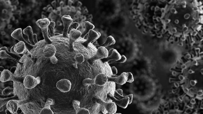 म्युकरमायकोसीसच्या रुग्णांवर होणार मोफत उपचार, राजेश टोपेंची घोषणा म्युकरमायकोसीसच्या रुग्णांवर होणार मोफत उपचार, राजेश टोपेंची घोषणा