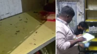 Mumbai: FDA Suspends Blinkit Malad Facility’s Food Licence Over Cockroach Infestation, Hygiene Lapses Mumbai: FDA Suspends Blinkit Malad Facility’s Food Licence Over Cockroach Infestation, Hygiene Lapses