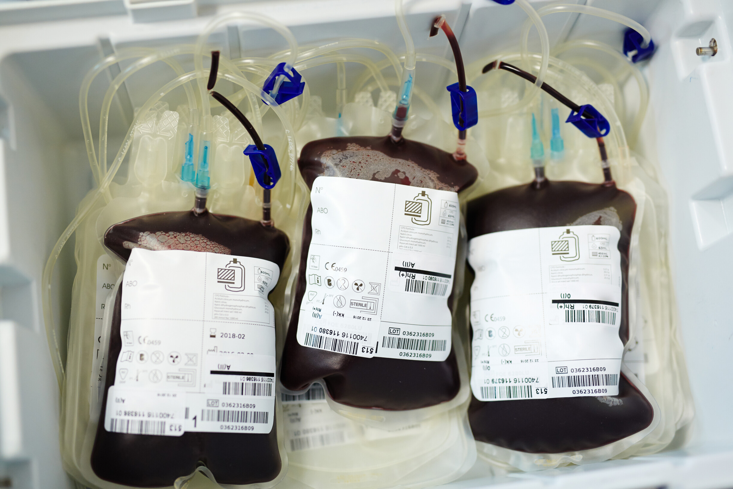State Blood Council Struggles to Maintain 50K Blood Units