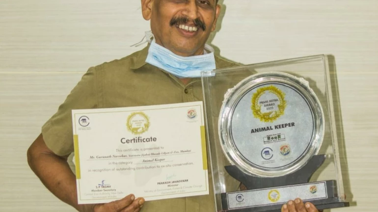 भायखळा उद्यानातील प्राणिपाल गुरुनाथ नार्वेकर यांचा राष्ट्रीय स्तरावर सन्मान भायखळा उद्यानातील प्राणिपाल गुरुनाथ नार्वेकर यांचा राष्ट्रीय स्तरावर सन्मान