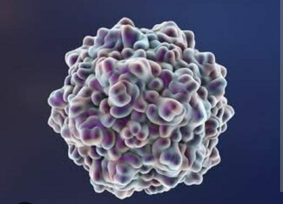 Navi Mumbai: 2-yr-old Boy Infected with Bocavirus Infection gets a new lease of life