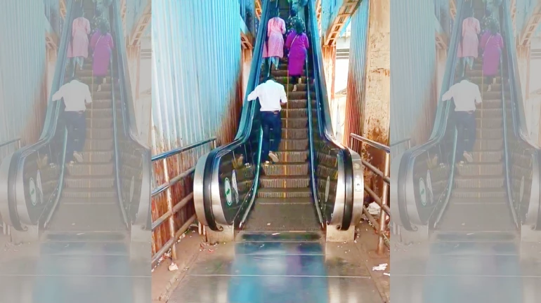 Paan & Gutkha Stains, Broke Escalator At Borivali Station; Here's What Railway Sewa Reacts