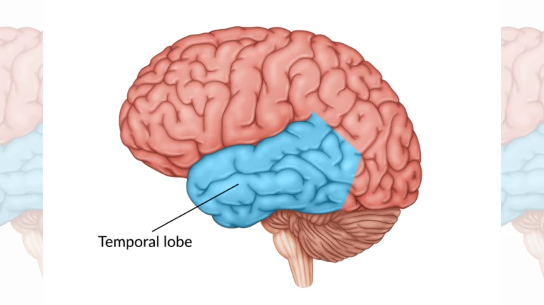 Mumbai doctor removes part of brain causing seizures; Epilepsy patient suffers for 12 years Mumbai doctor removes part of brain causing seizures; Epilepsy patient suffers for 12 years