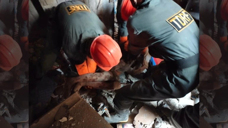 Portion of a building collapses in Ulhasnagar; five deaths reported Portion of a building collapses in Ulhasnagar; five deaths reported