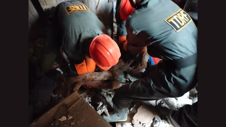 24 deaths reported as walls collapse in Chembur and Vikhroli 24 deaths reported as walls collapse in Chembur and Vikhroli