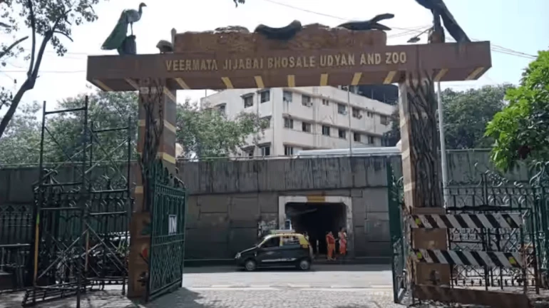 मुंबई-  भायखला चिड़ियाघर में 2022-23 में 40 जानवरों की मौत