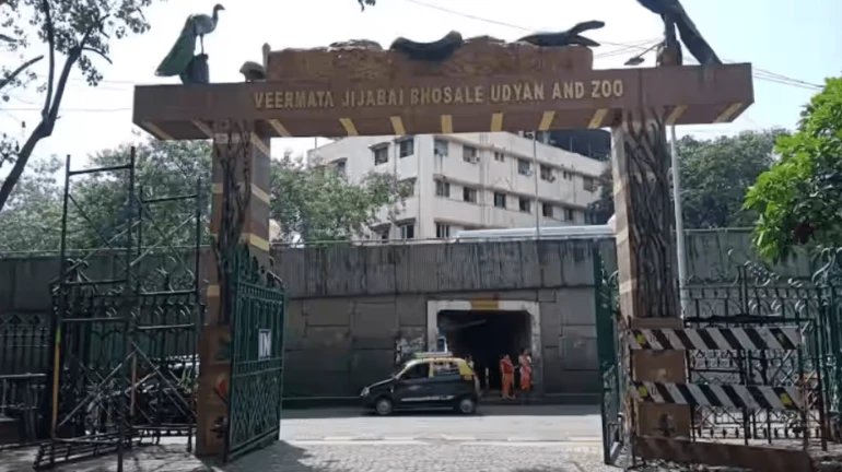 Mumbai: 40 animals died in 2022-23 at Byculla Zoo, mostly from heart disease Mumbai: 40 animals died in 2022-23 at Byculla Zoo, mostly from heart disease