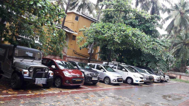 BMC to undertake pruning, asks owners not to park vehicles roadside