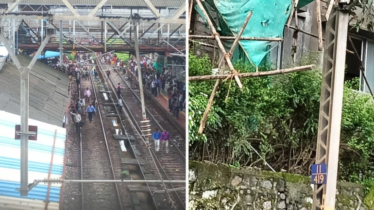 माटुंगा रेल्वे स्थानकात ओव्हरहेड वायरवर कोसळले बांबू माटुंगा रेल्वे स्थानकात ओव्हरहेड वायरवर कोसळले बांबू