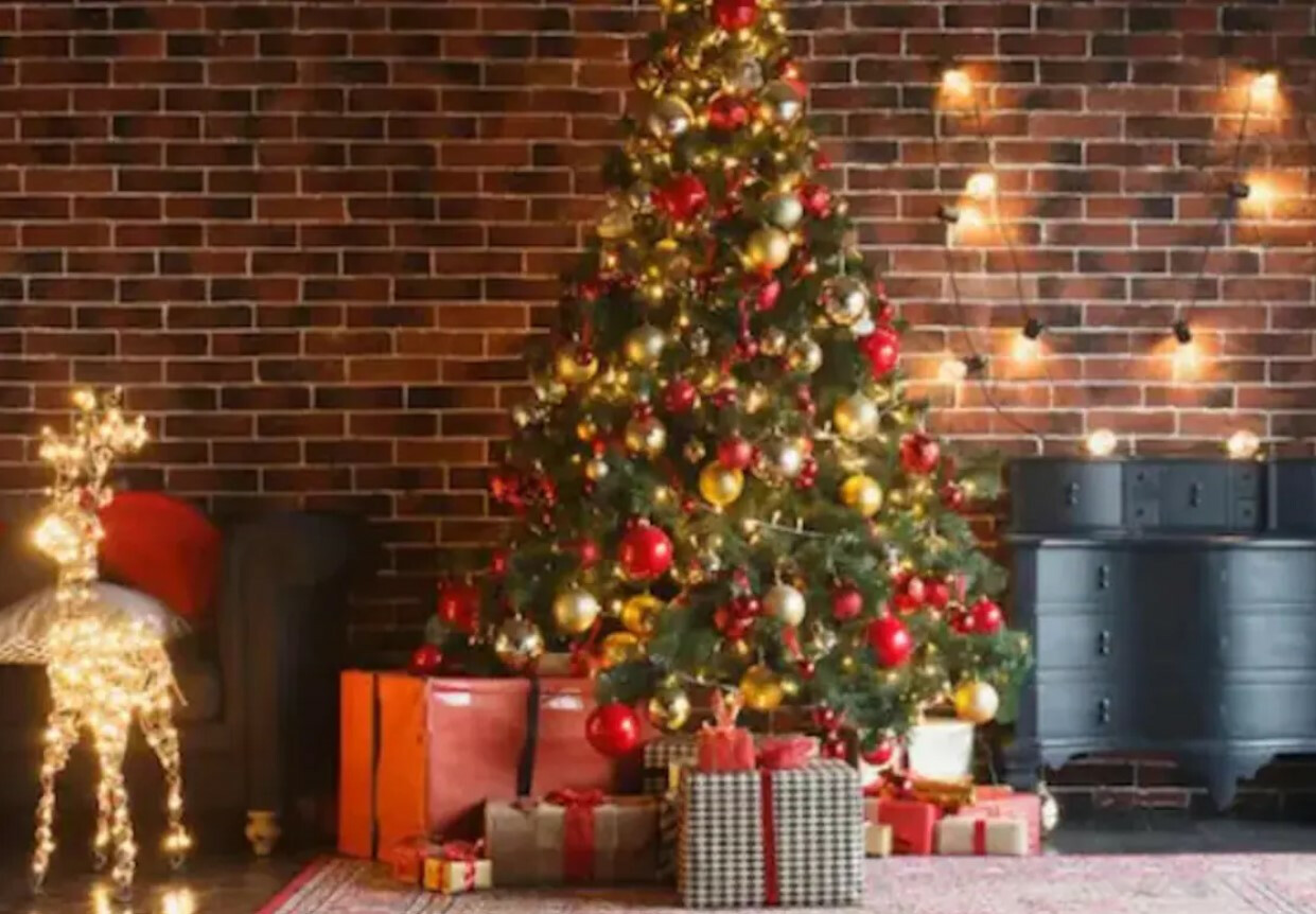 Christmas 2022: ख्रिसमस सेलिब्रेशनसाठी शॉपिंग करा, 'हे' 5 गिफ्ट ठरतील चांगले पर्याय