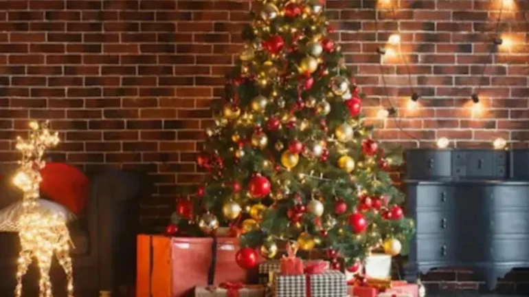 Christmas 2022: ख्रिसमस सेलिब्रेशनसाठी शॉपिंग करा, 'हे' 5 गिफ्ट ठरतील चांगले पर्याय Christmas 2022: ख्रिसमस सेलिब्रेशनसाठी शॉपिंग करा, 'हे' 5 गिफ्ट ठरतील चांगले पर्याय