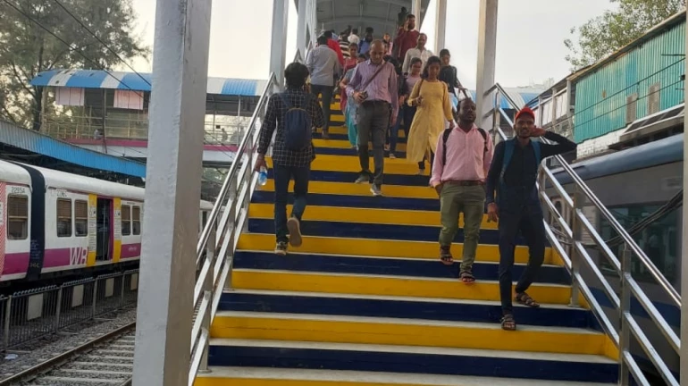 Mumbai Local News: Charni Road's new FOB, Linkway Has Now Opened For Commuters Mumbai Local News: Charni Road's new FOB, Linkway Has Now Opened For Commuters