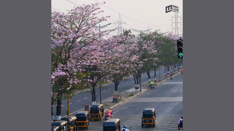 Mumbai: Biodiversity Panel Asks City’s Developers to Submit EIA Report Mumbai: Biodiversity Panel Asks City’s Developers to Submit EIA Report