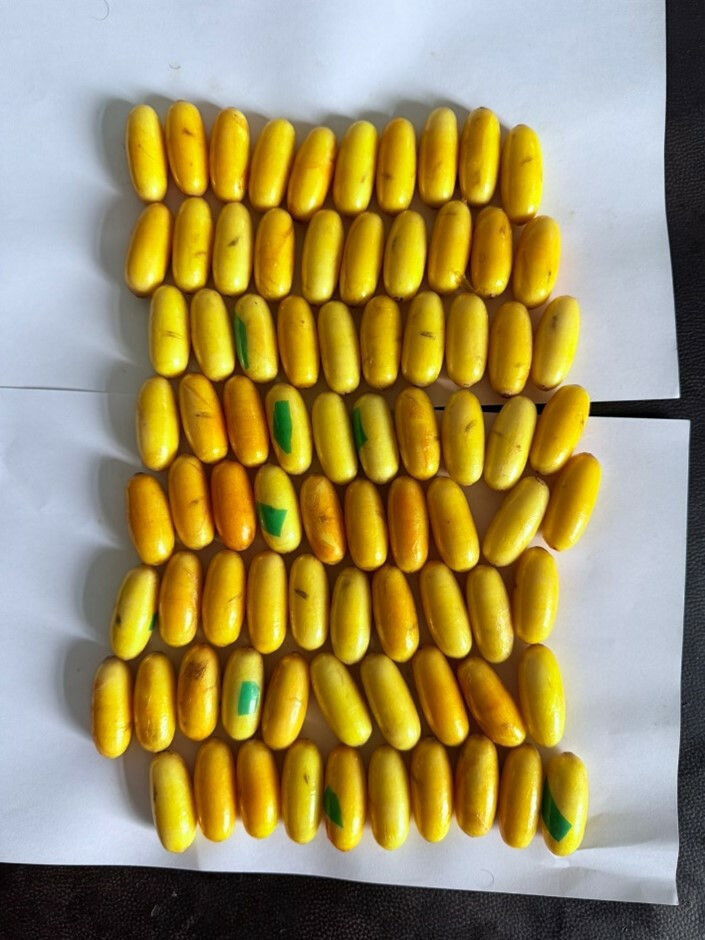 मुंबई एयरपोर्ट पर कस्टम ने 8.66 करोड़ रुपये की कोकीन जब्त की