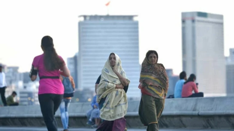 राज्यात तीन दिवस थंडीची तीव्र लाट, IMD चा अंदाज राज्यात तीन दिवस थंडीची तीव्र लाट, IMD चा अंदाज