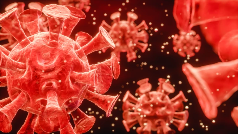 राज्य में  सोमवार के दिन  3 हजार 837 नए मरीज, 80 की मौत राज्य में  सोमवार के दिन  3 हजार 837 नए मरीज, 80 की मौत